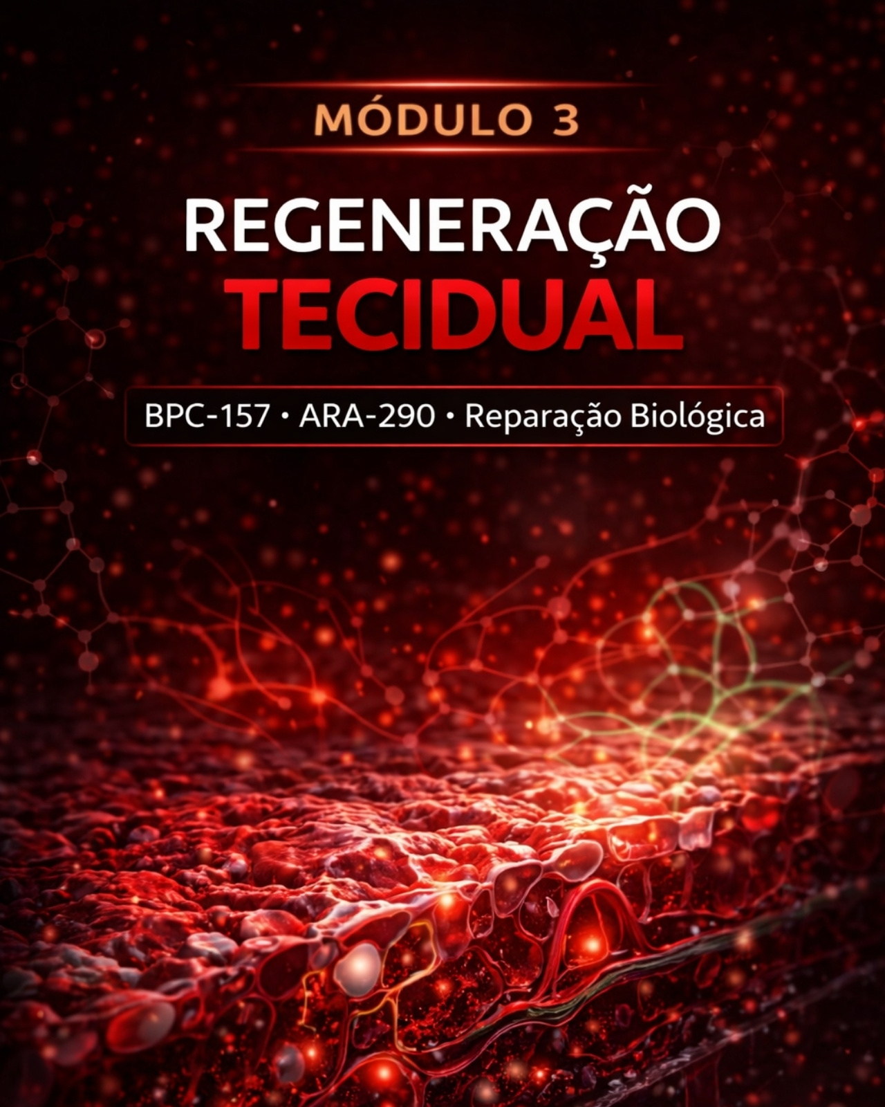 Formação em Peptídeos 7 7